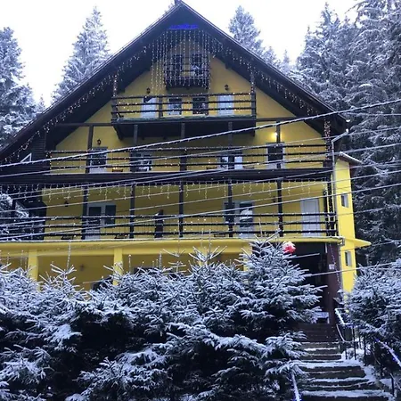 Trei Brazi 39 Guest house Predeal