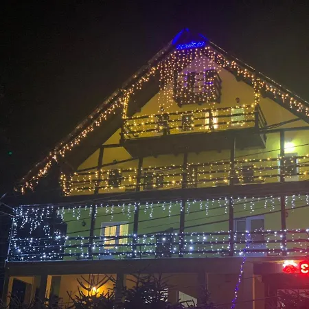 Trei Brazi 39 Guest house 3*